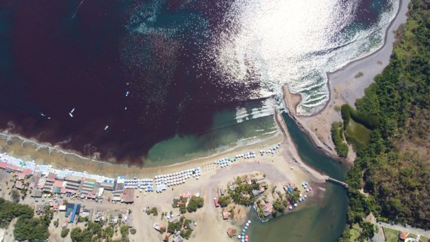 Marea roja tóxica invade las playas de Manzanillo