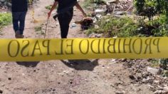 Drama en Michoacán: Quiénes son los 12 cadáveres hallados en fosa clandestina