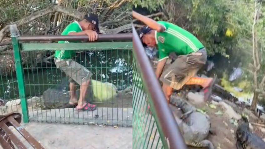 "Yo soy tu rey": Hombre ebrio patea a cocodrilos en Tampico ¡casi pierde un pie! | VIDEO