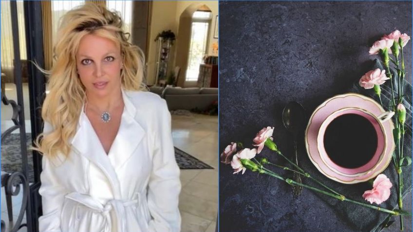 Britney Spears embarazada: cambiará sus desnudos en Instagram por chambritas y pañales | FOTO