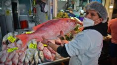 La peligrosa larva de Anisakis te puede llevar a la muerte por comer pescado crudo