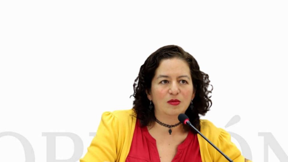 María del Carmen Nava Polina / Transparencia 5.0 / El Herald de México