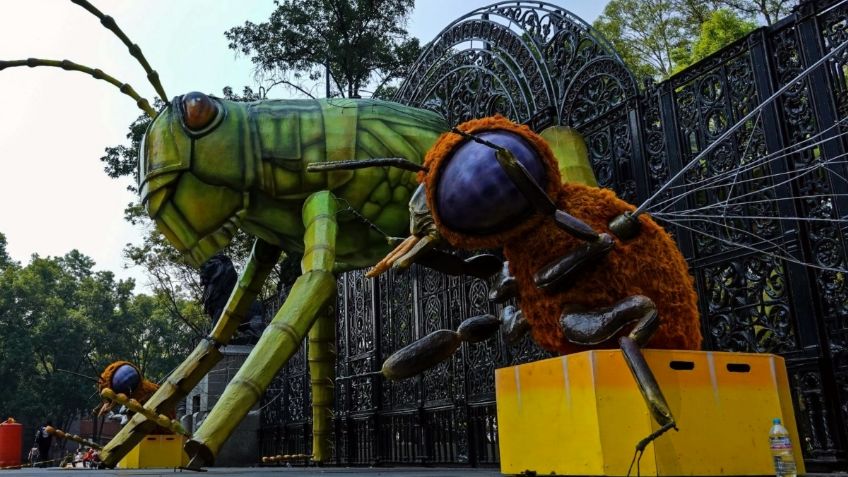 Picnic nocturno, Festival INSECTA, y otras 5 actividades que puedes hacer en SEMANA SANTA