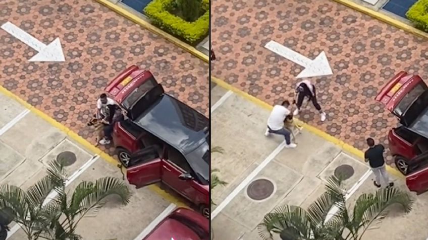 ¿Era su dueño? Pastor alemán muerde a un hombre que intentaba ponerle un bozal | VIDEO