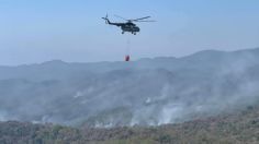 Incendio de la biosfera “El Cielo” tardará 15 días más en ser controlado, asegura Protección Civil del Estado