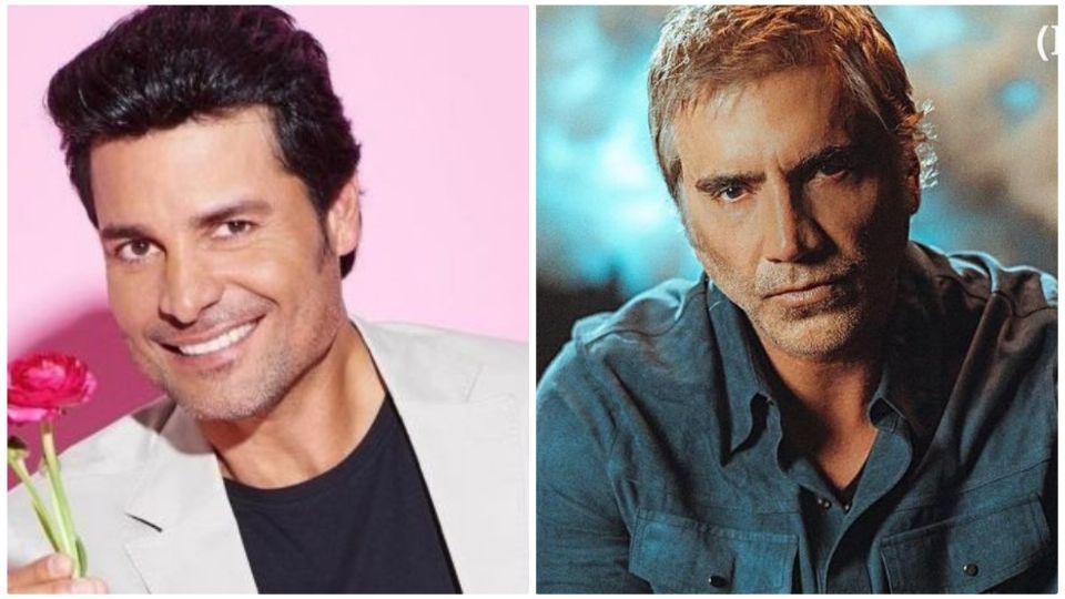 Chayanne y El Portillo tienen varios años en la industria