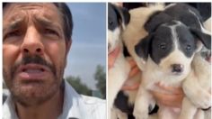 Eugenio Derbez rescata a perritos de la calle; así puedes adoptar uno: VIDEO