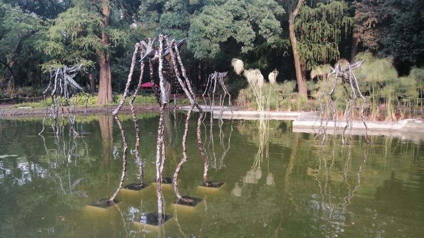 Vuelan en Chapultepec las Típulas de Amador Montes