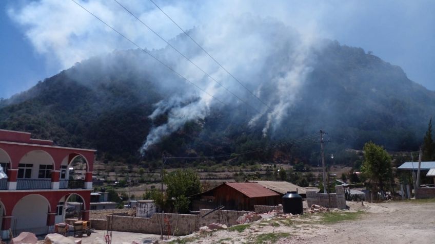 Incendio forestal en el Cerro el Gachupín deja cuatro muertos en Oaxaca