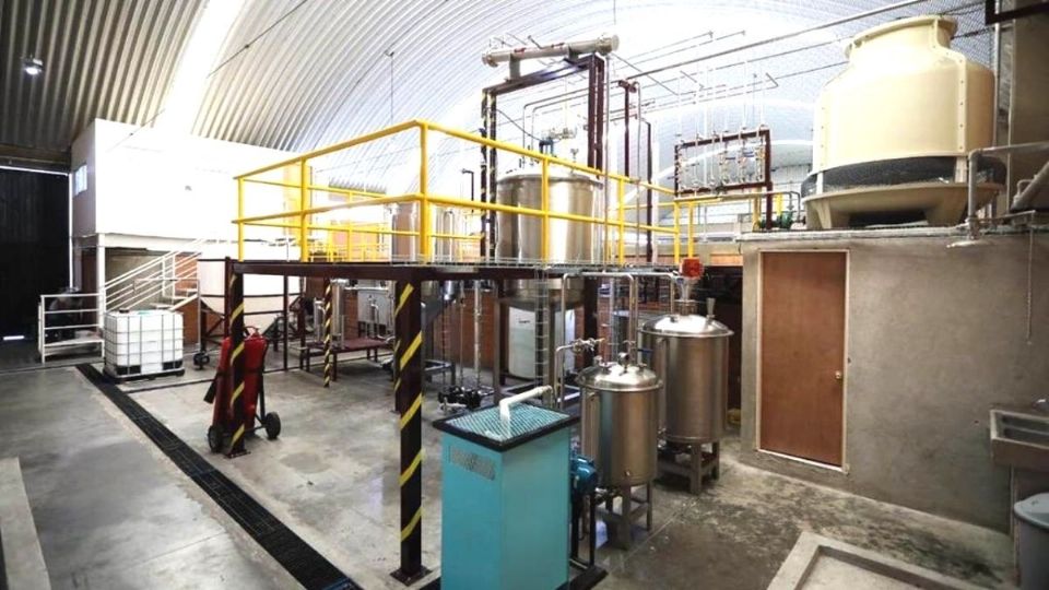 El aceite recolectado es utilizado en la Planta de Biodiésel de la Central de Abasto