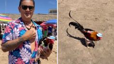 “¡Se merece todo!”: Hombre lleva a su gallo de vacaciones a la playa | VIDEO