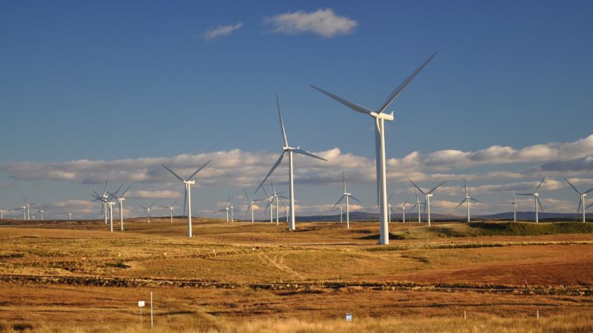 Tamaulipas crecerá con energía eólica ante rechazo de la reforma eléctrica