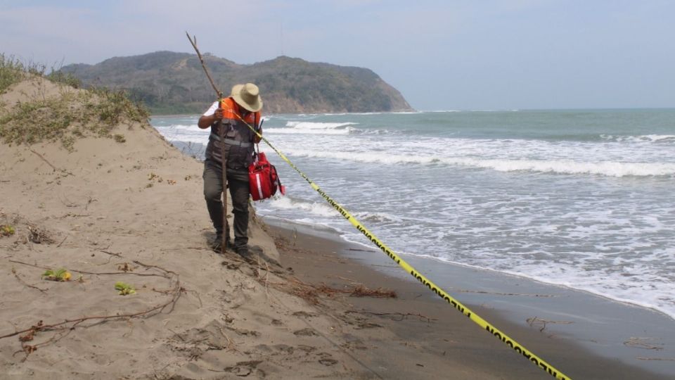 En las zonas de playa se desplegaron cerca de 300 ciudadanas y ciudadanos para apoyar en las labores de rescate.