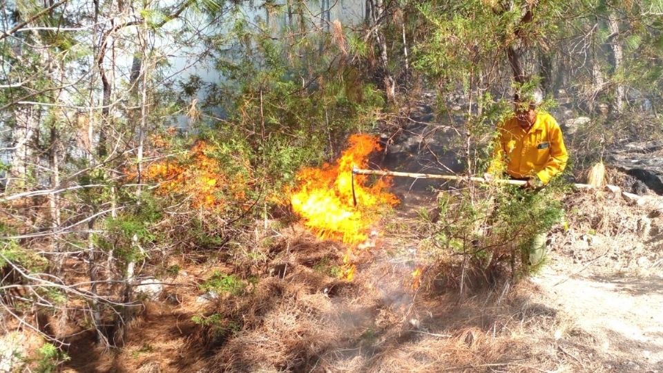 Incendio forestal acaba con 150 hectáreas de Quintana Roo