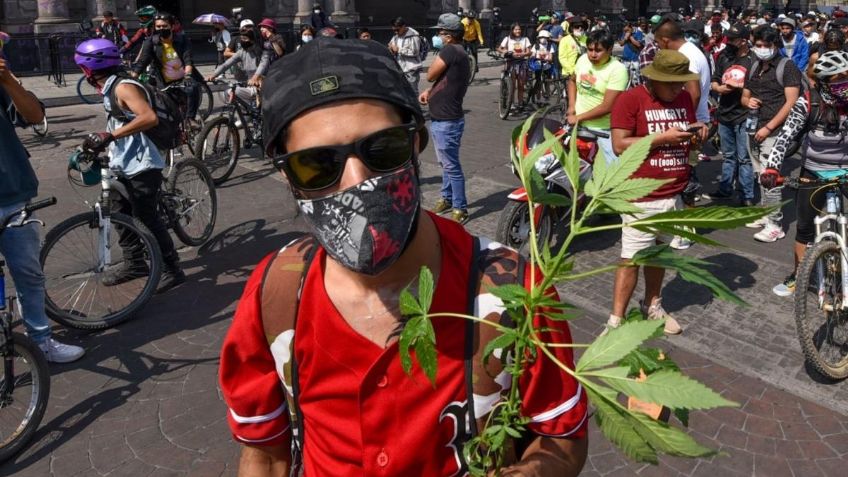 Oaxaca: Activistas ponen en jaque a las autoridades; usuarios de mariguana podrán fumar en las calles