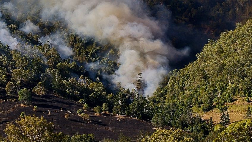 Brigadistas atienden 20 incendios forestales en Xochimilco, Tlalpan, Milpa Alta y Magdalena Contreras