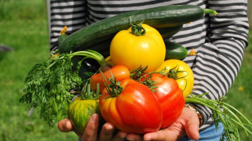 Presión sanguínea: 5 alimentos para tenerla controlada