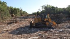 "Si nos tenemos que poner en frente de las máquinas, lo haremos", asegura ambientalista sobre Tren Maya