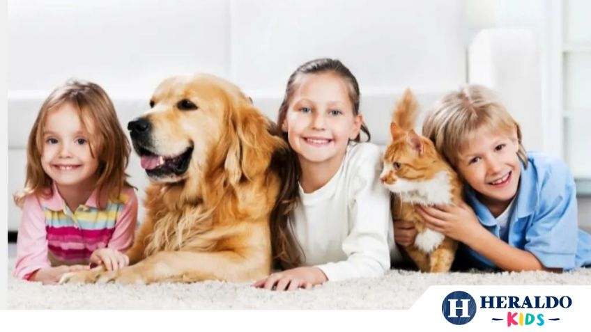 ¿Cuáles son las mejores mascotas para niños? Conoce sus beneficios