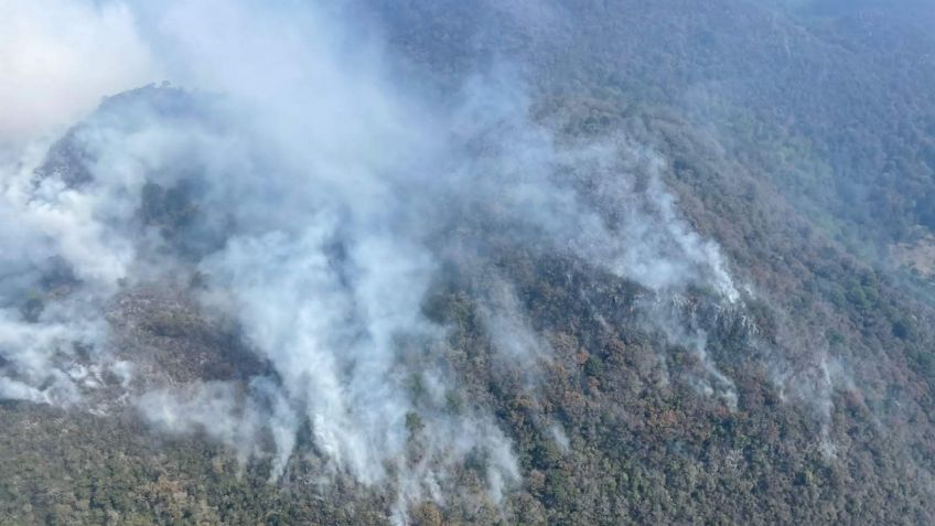 Por fin controlan el incendio en "El Cielo"; el fuego arrasó 6 mil 800 hectáreas