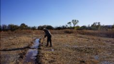 Habitantes del Río Sonora tienen altos niveles de metales pesados en sangre y orina