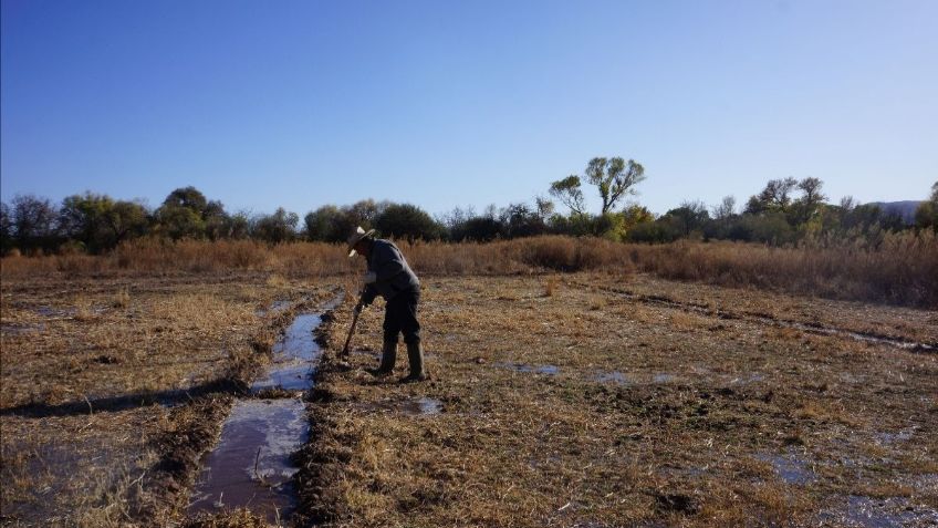 Habitantes del Río Sonora tienen altos niveles de metales pesados en sangre y orina