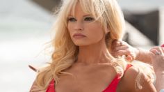 Pamela Anderson voló la red con un ajustado vestido