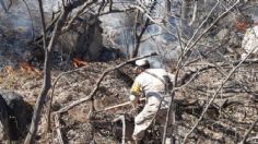 Ejército aplica Plan DN-III-E por incendio forestal en Sonora