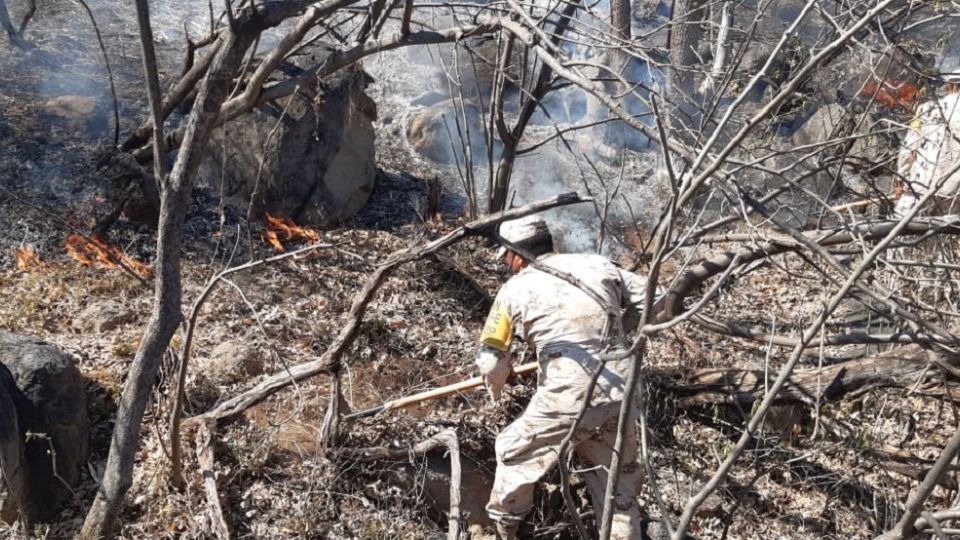 Sedena trabaja en el incendio del cerro 'La Sierrita', en Sonora 
FOTO: Sedena