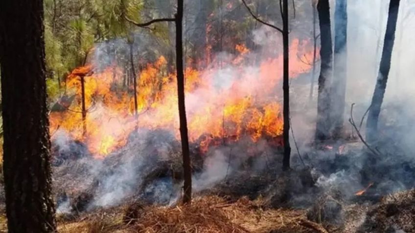 Puebla se coloca en cuarto lugar en incendios forestales