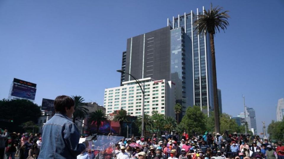 El árbol será reemplazado con otro especimen.