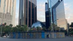 Paseo de la Reforma: así luce la Glorieta de la Palma sin la icónica palmera | FOTOS