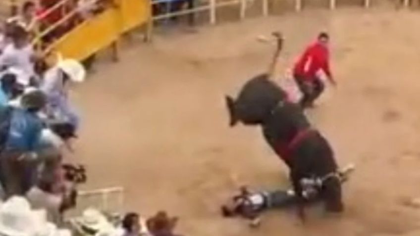 ¡Un paramédico, urgente!: Así fue el brutal momento en que un toro le aplasta la cabeza a un jinete en Morelia | VIDEO