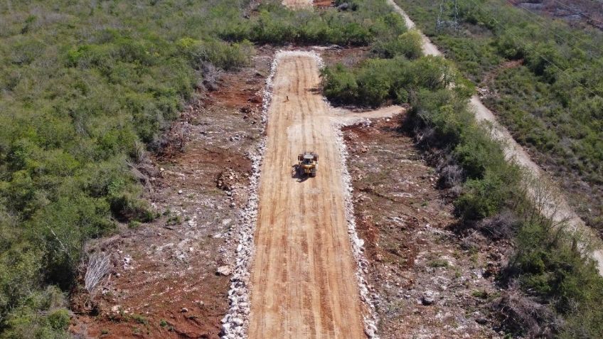 Estamos muy esperanzados de que AMLO vuelva a abrir la puerta del diálogo sobre el Tren Maya, dice experto