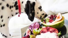 Estas 3 frutas que tienes en casa pueden ser tóxicas para tus perros