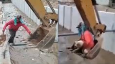 Héroes sin capa: Trabajadores rescataron a un perrito con una excavadora | VIDEO