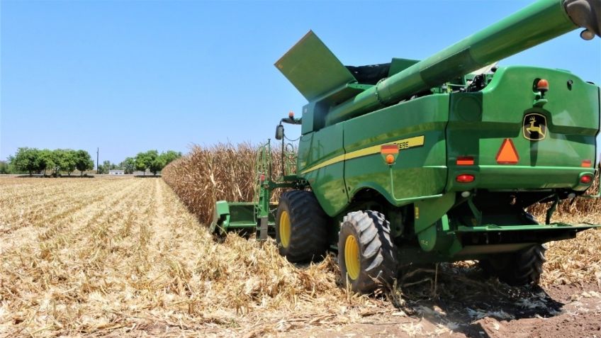 Reformará Agricultura acciones para fortalecer la seguridad alimentaria