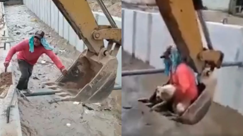 Héroes sin capa: Trabajadores rescataron a un perrito con una excavadora | VIDEO