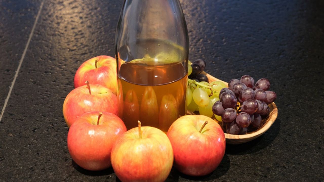 pueden los perros beber vinagre de sidra de manzana