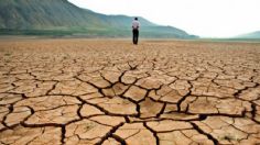 Diferencia entre calentamiento global y cambio climático: Causas y consecuencias