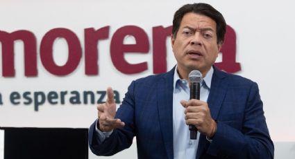 Ala disidente de Morena pide cambiar convocatoria; Ackerman se va contra  Delgado | El Heraldo de México