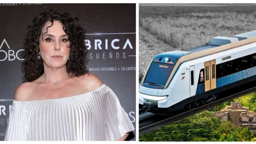 No le están diciendo la verdad a AMLO sobre el Tren Maya: Azela Robinson