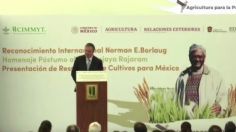 Marcelo Ebrard recibe reconocimiento internacional por lucha a favor de la seguridad alimentaria en el mundo