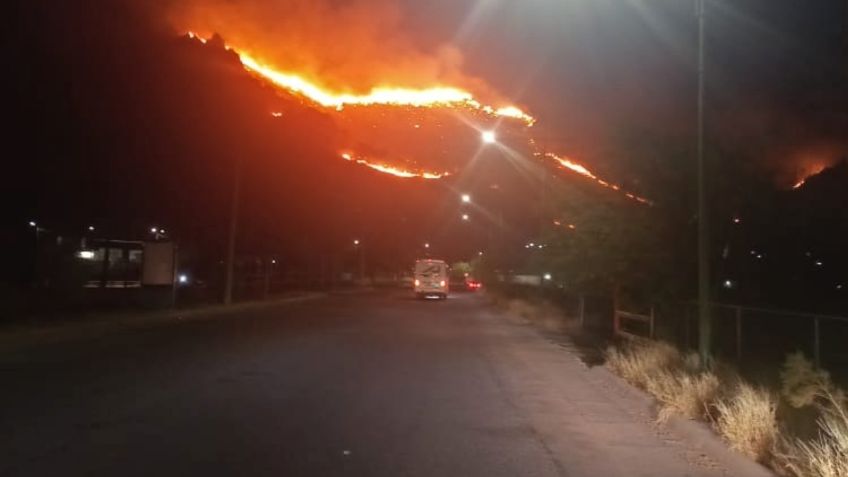 Buscan a grupo de piromaníacos que incendian el área natural de La Sauceda