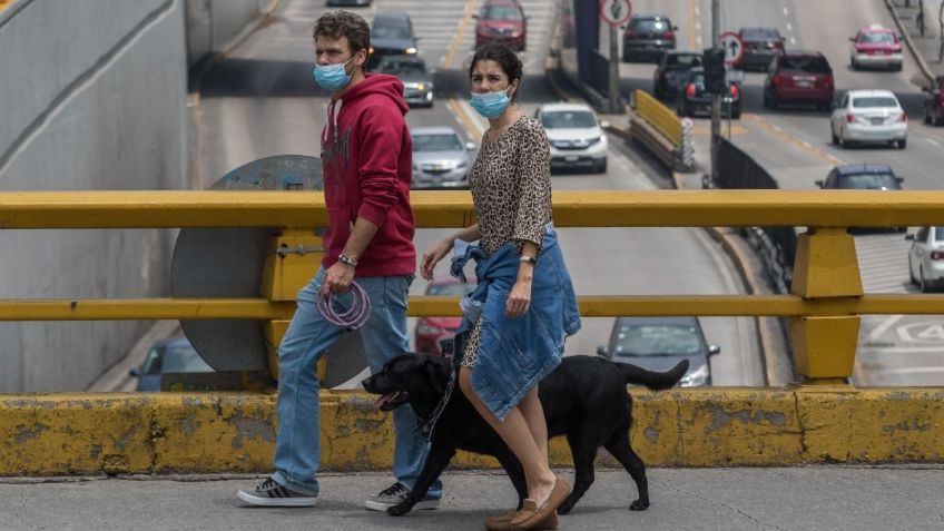 Investigan en CDMX a un perrito que habría contagiado a toda una familia de Covid-19