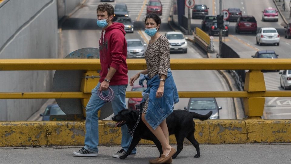 La plataforma de GISAID identificó como huésped al animal bajo la denominación “Canis lupus familiaris”. FOTO: Cuartoscuro