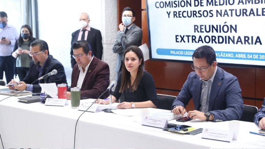 Comisión de Medio Ambiente avala Reforma Eléctrica