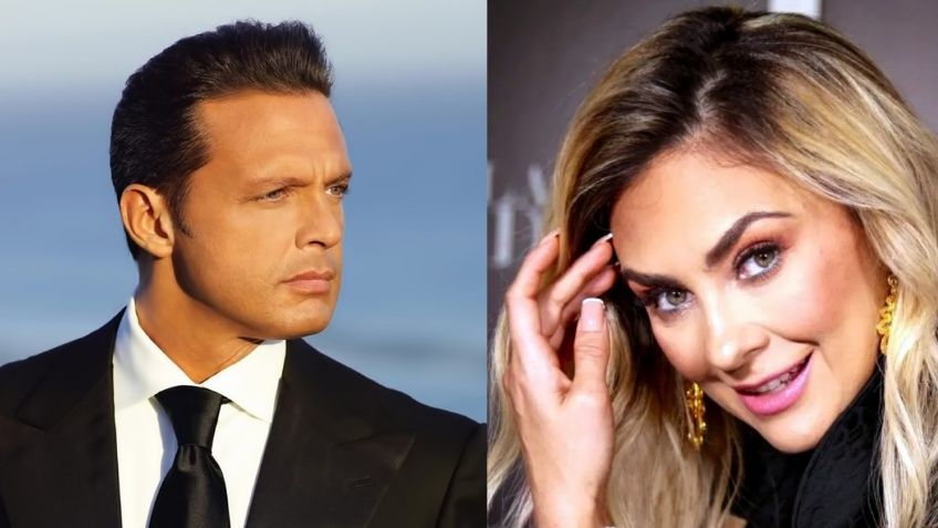 ¿Aracely Arámbula regresará a las telenovelas?; cuenta algunos de sus proyectos previo al cumpleaños de Luis Miguel