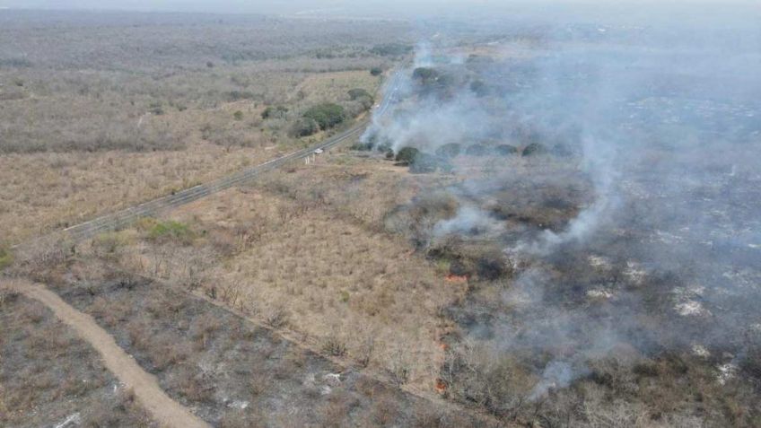 Veracruz: ¿Cuáles son los 5 focos rojos por incendios forestales?