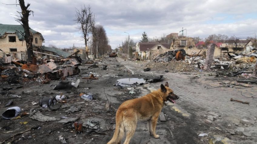 Conflicto Rusia-Ucrania hoy 25 de abril: Rusos anuncian alto el fuego para evacuación de civiles de Azovstal